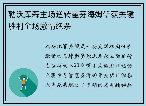 勒沃库森主场逆转霍芬海姆斩获关键胜利全场激情绝杀